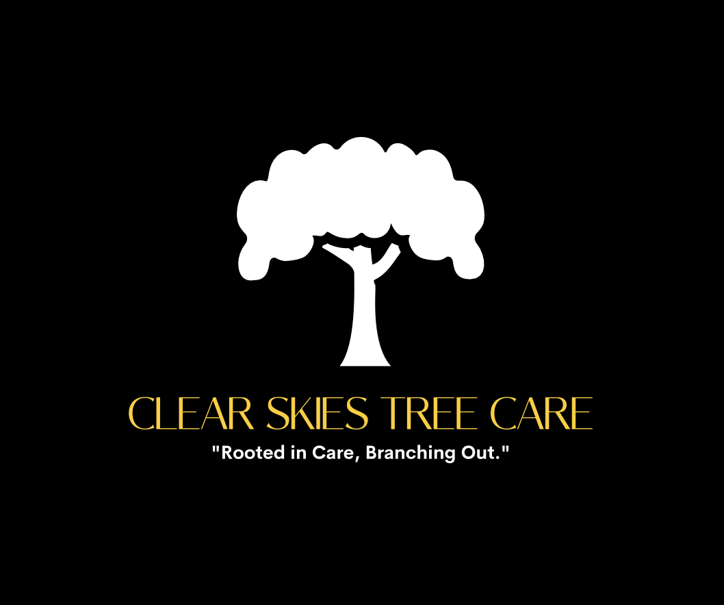 Avatar for Clear skies Tree care