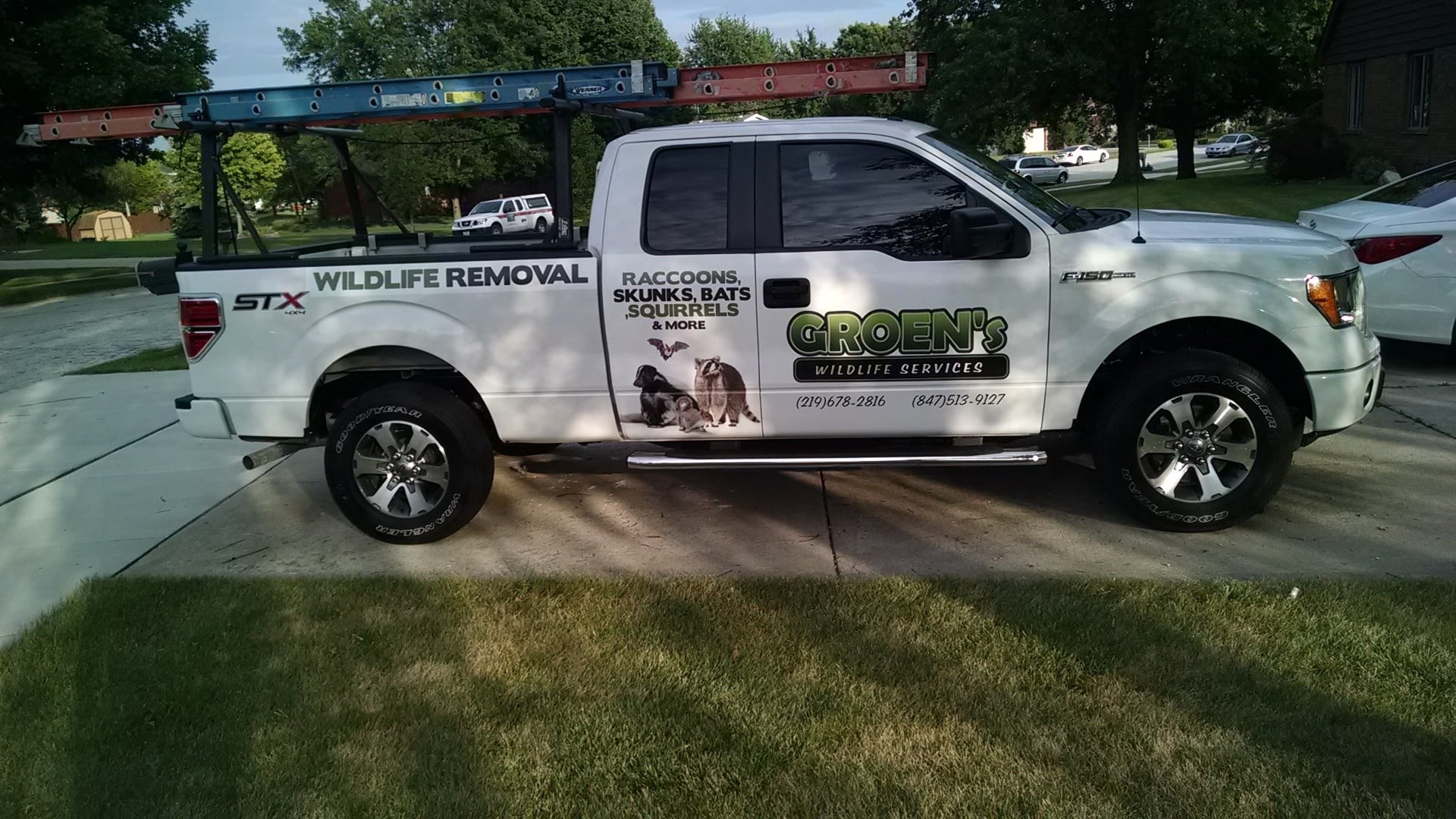 Avatar for Groen's Wildlife Services