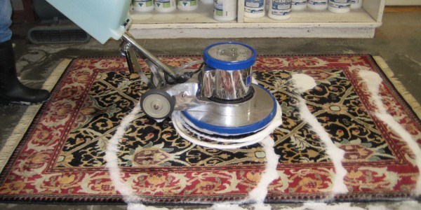 Avatar for Steam Green Carpet & Sofa Cleaners