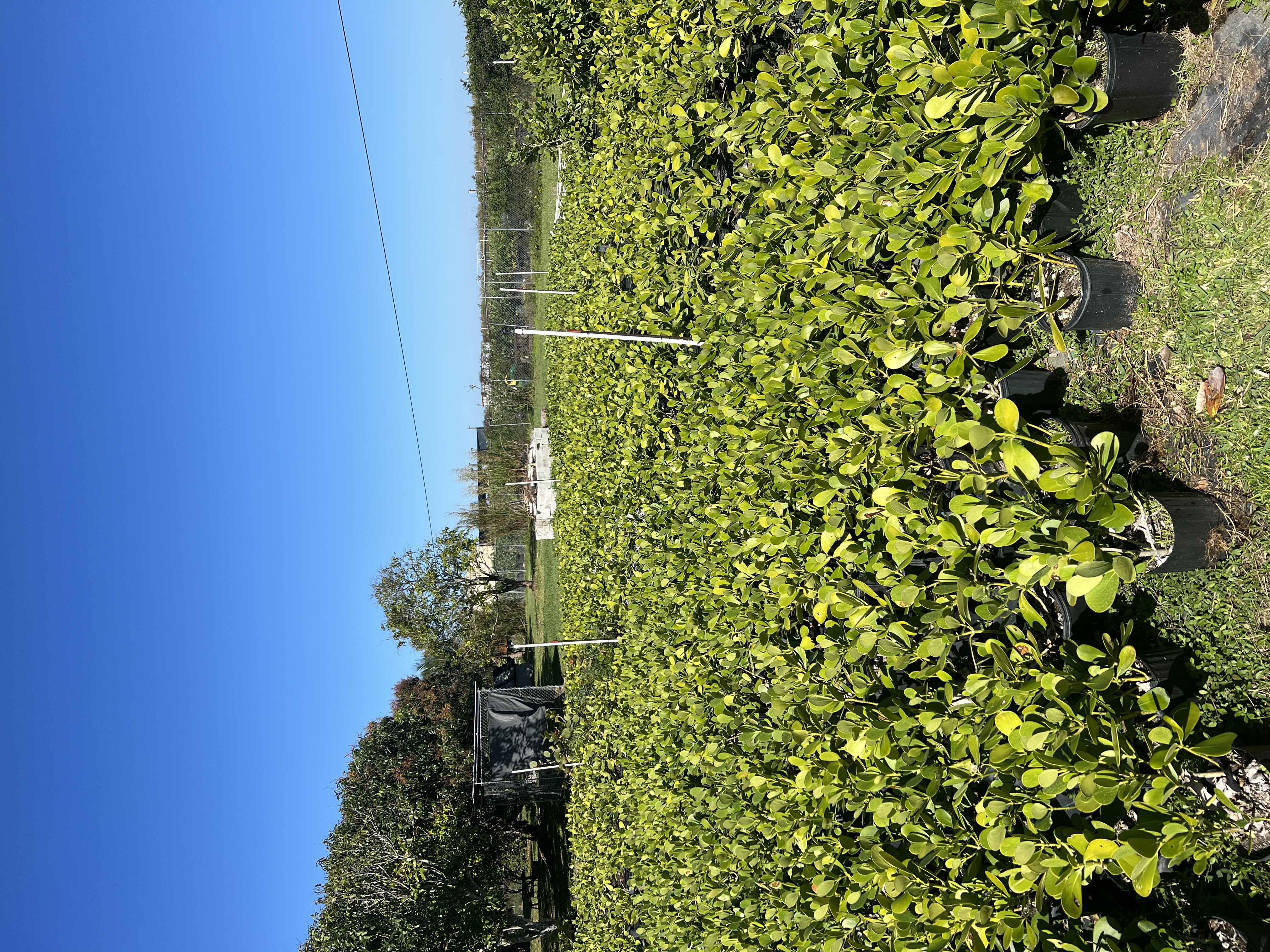 Avatar for Redland Garden & Nursery