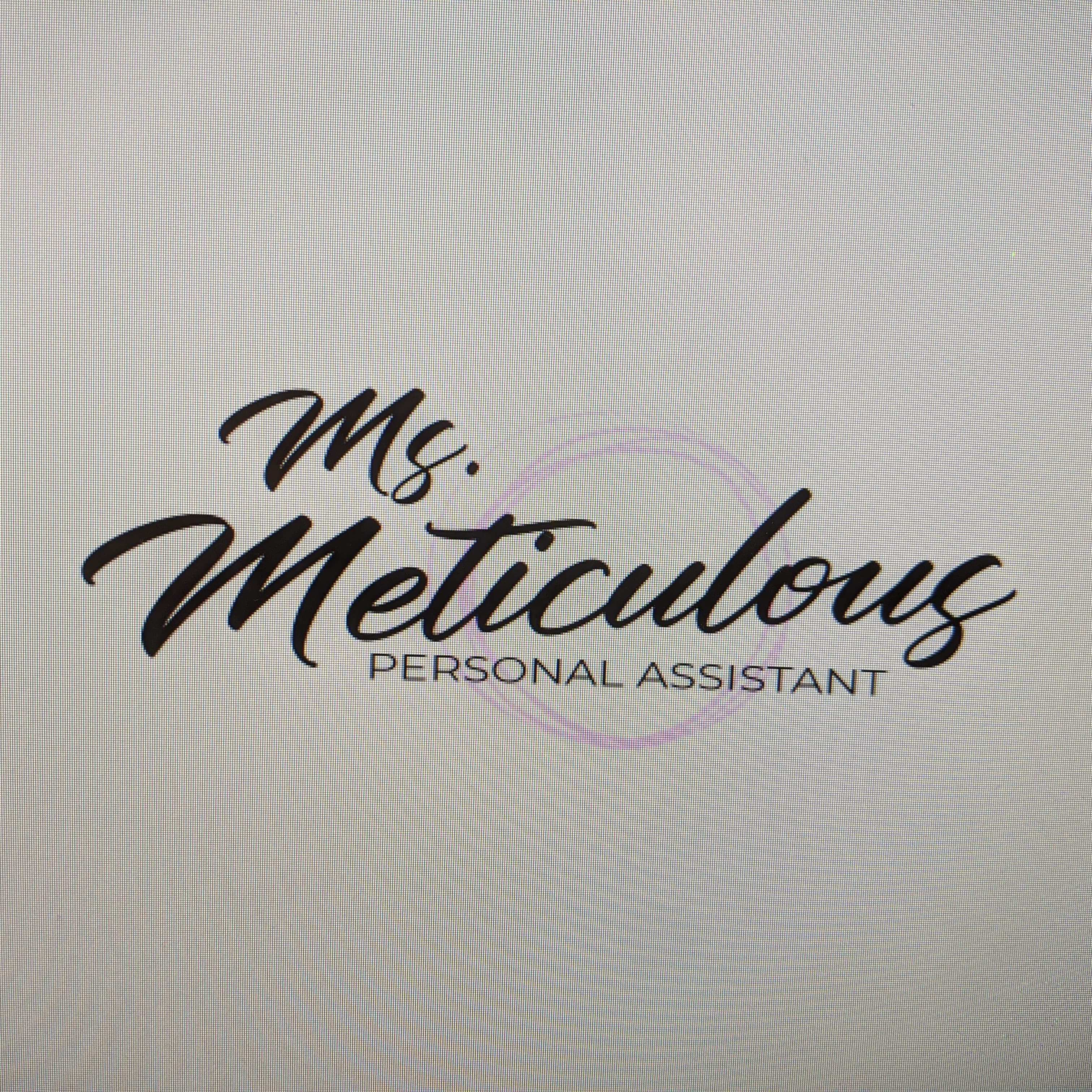 Meticulous Logo