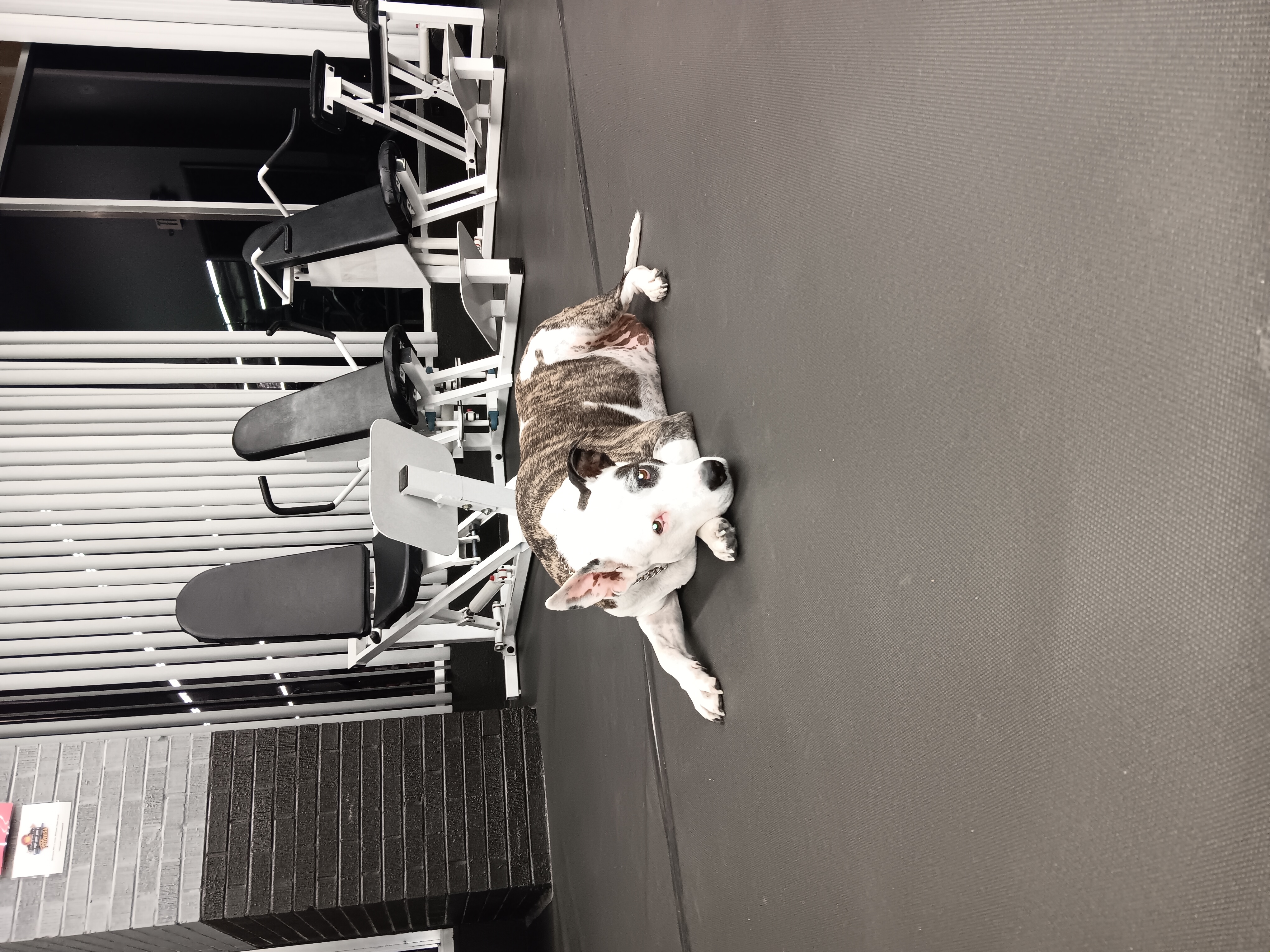 Avatar for Jeffery Reitz 