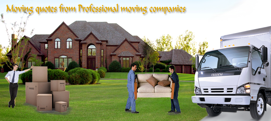 Avatar for ICANN Moving Company LLC