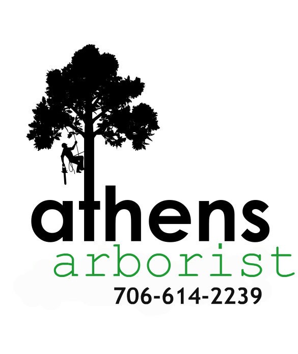 Avatar for Athens Arborist