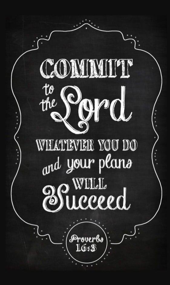 Avatar for Flores Concrete & Construction