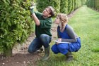 Spectacular View Landscaping logo