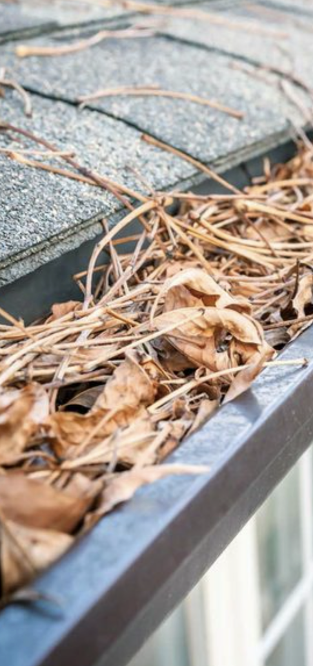 Avatar for Flow Again