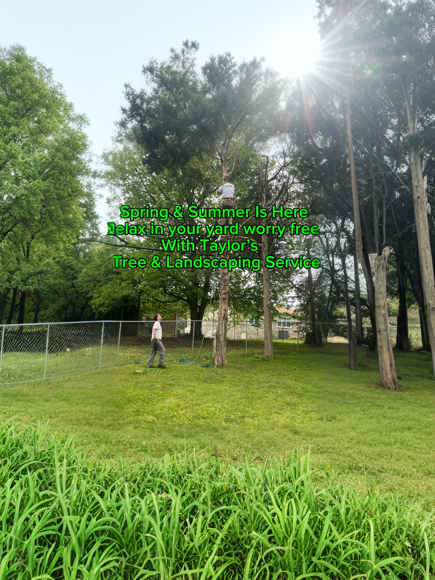 Avatar for Taylors Tree And Landscaping