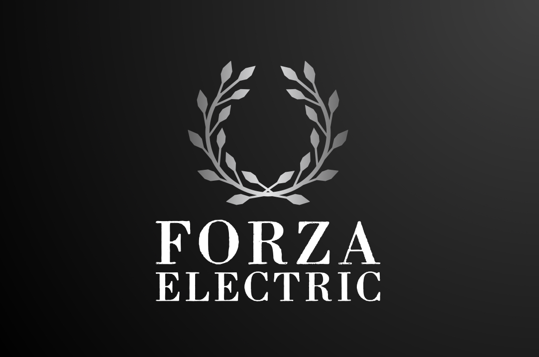 Avatar for Forza Electric 