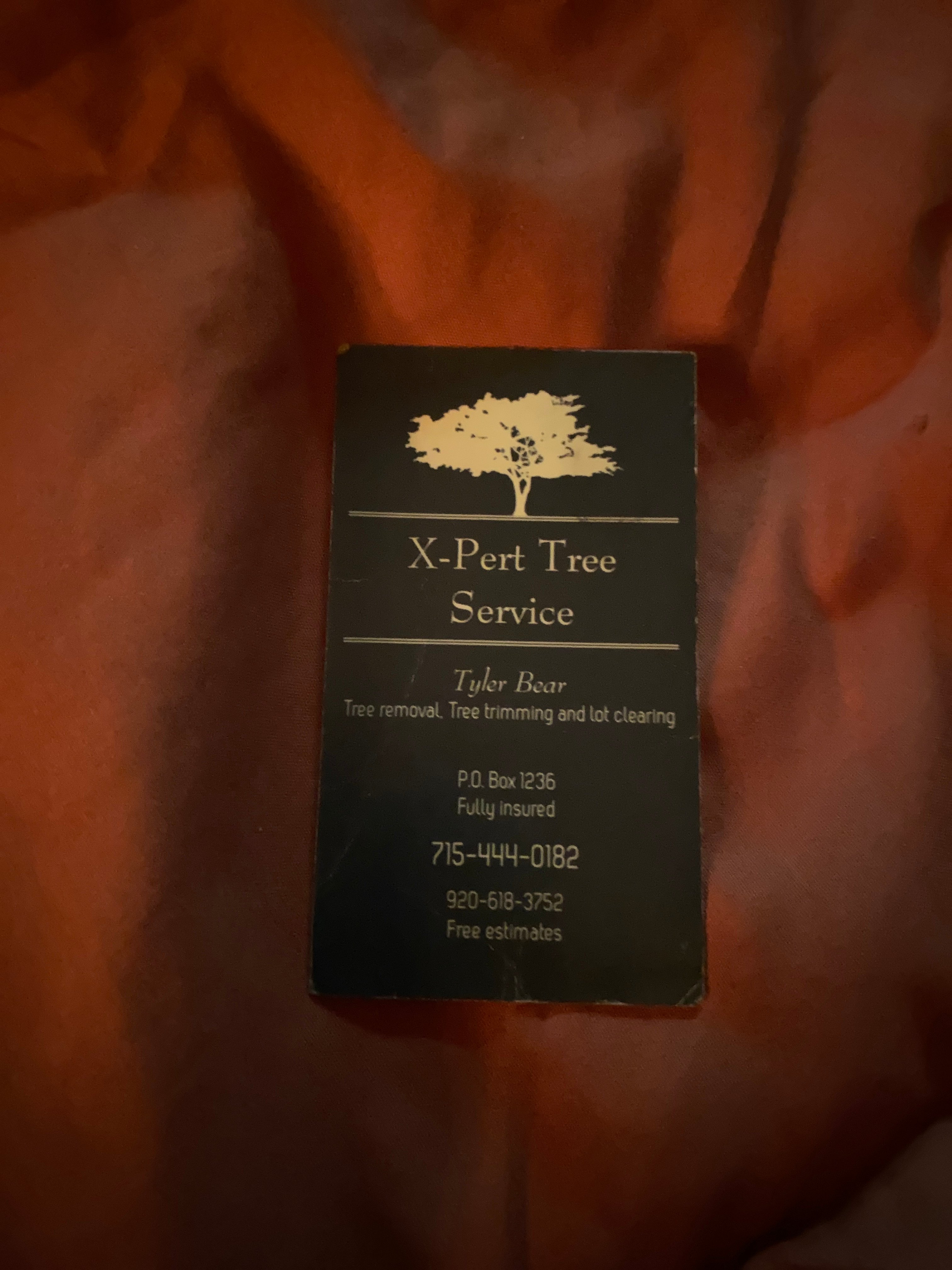 Avatar for Ex-pert tree service