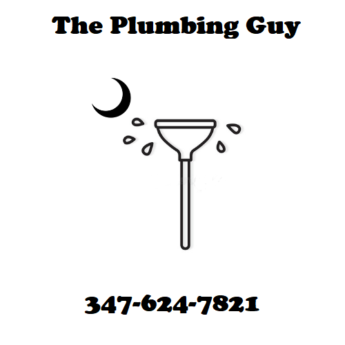 Avatar for The Plumbing Guy LLC