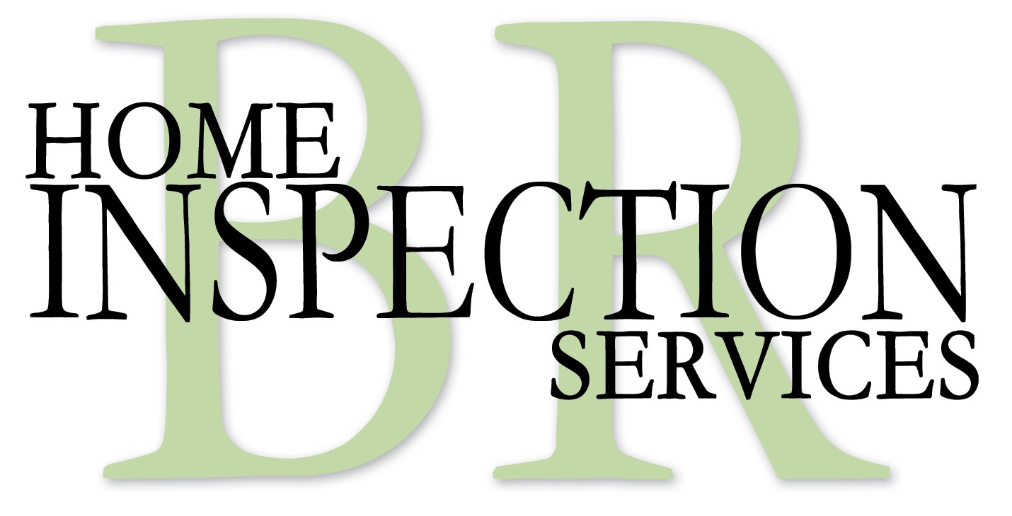 Avatar for BR Home Inspection Services