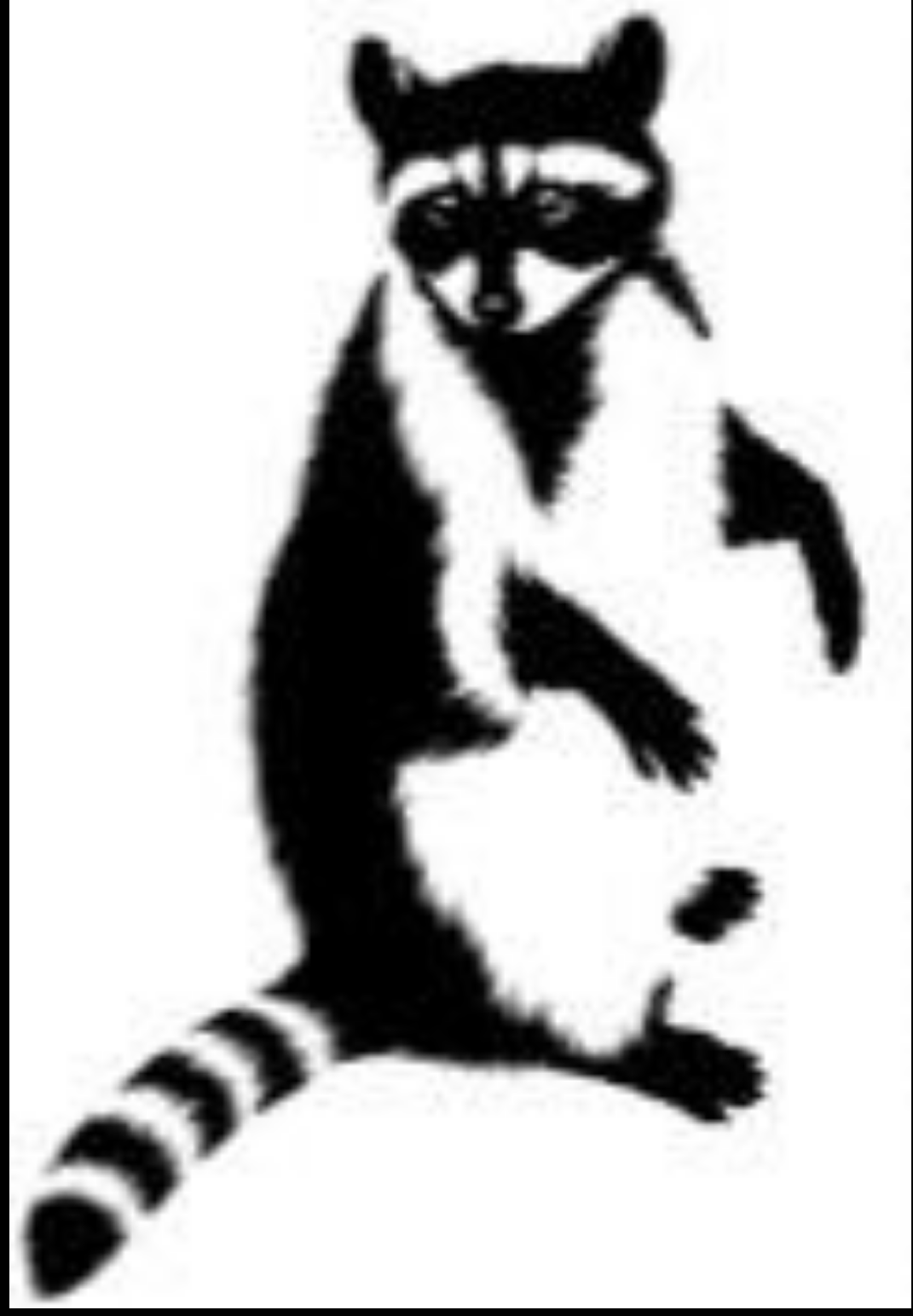 Avatar for Requisite Animal Management