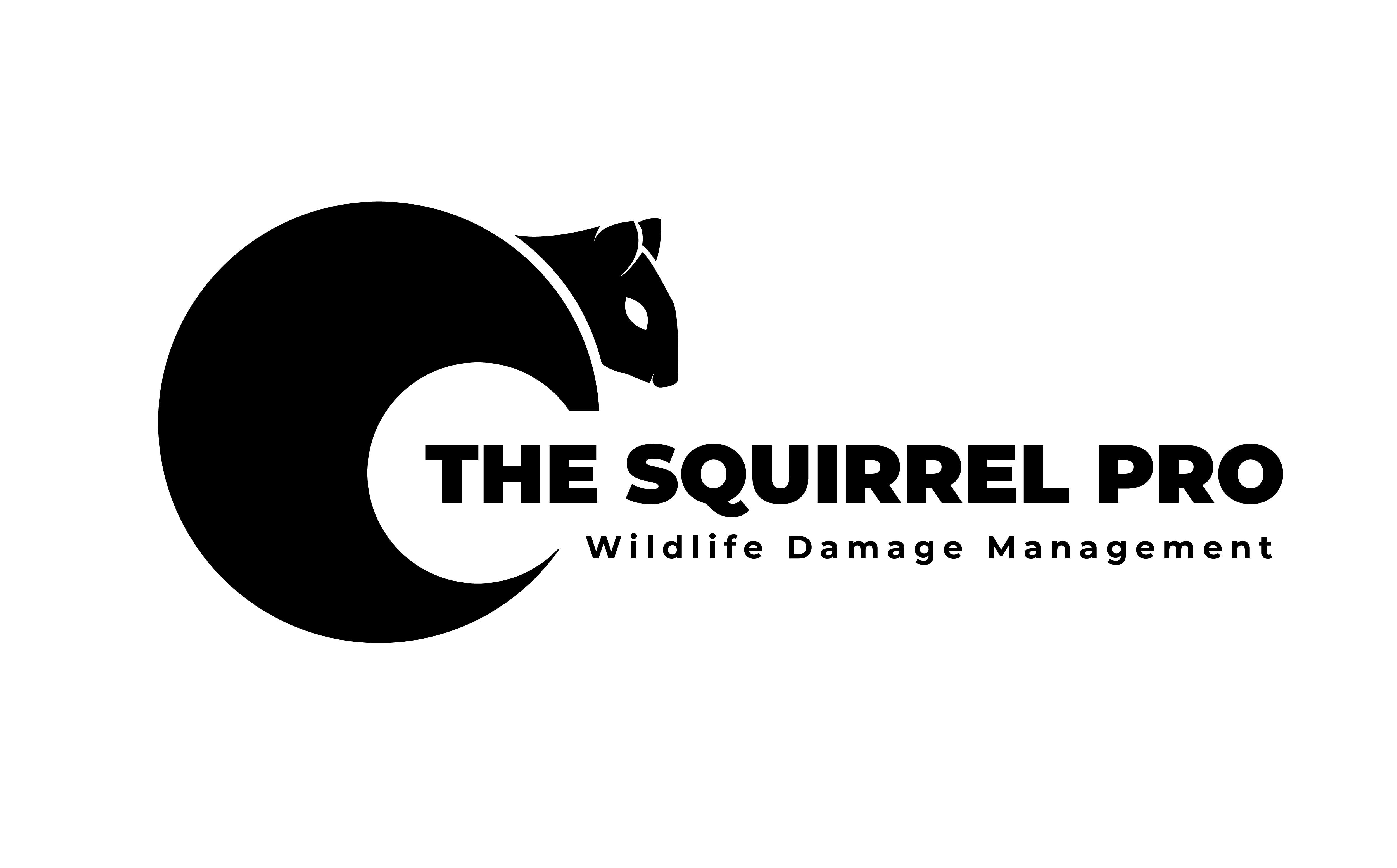 Avatar for The Squirrel Pro