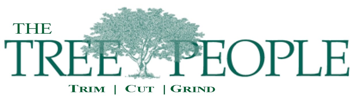Genesis Tree Service Manassas VA - Free Quotes 571-732-3900