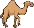 Camel Construction & Remodeling logo
