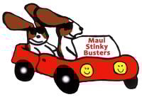 Avatar for Maui Stinky Busters