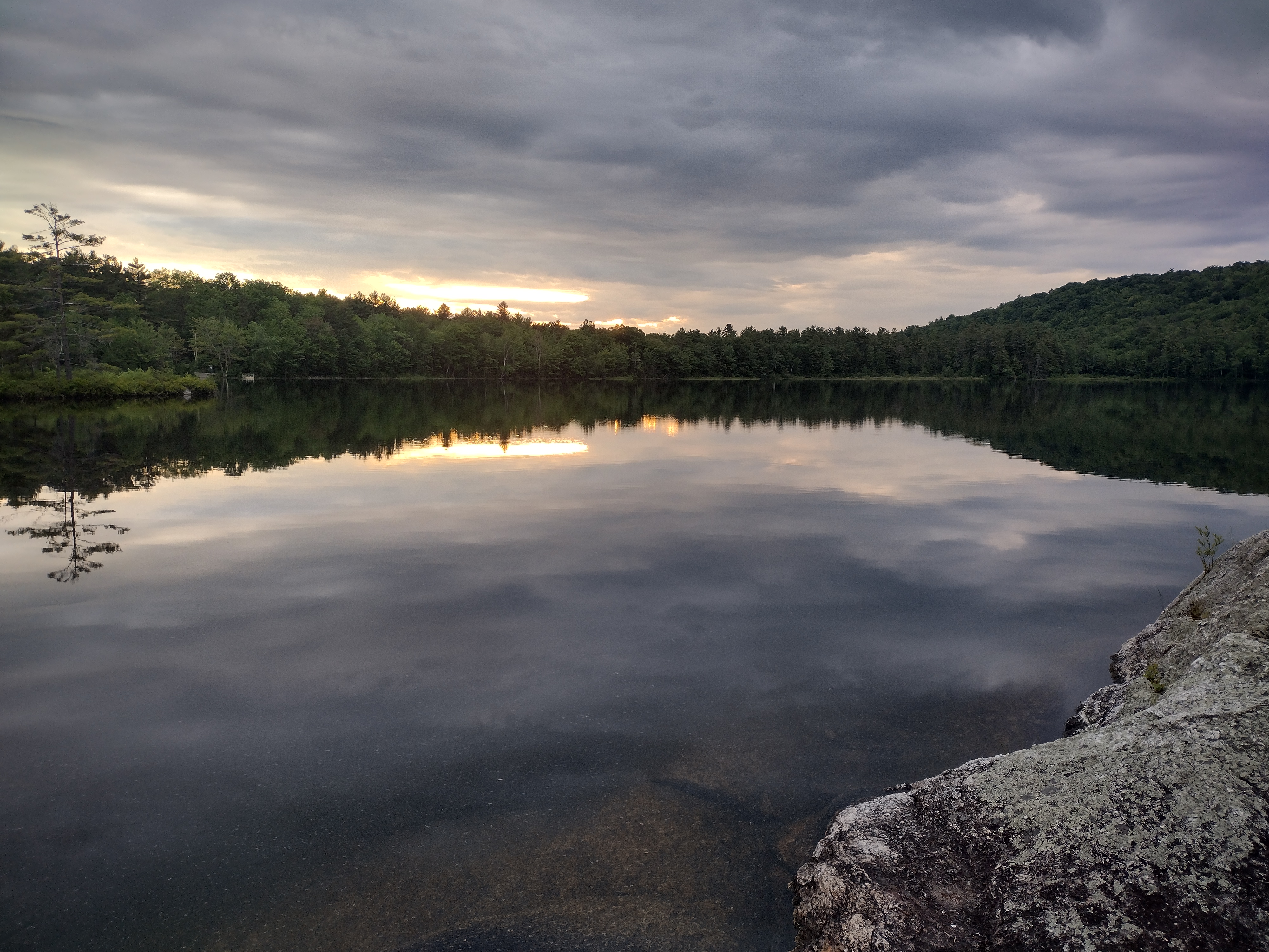 Avatar for TLS Lawn care & Repairs