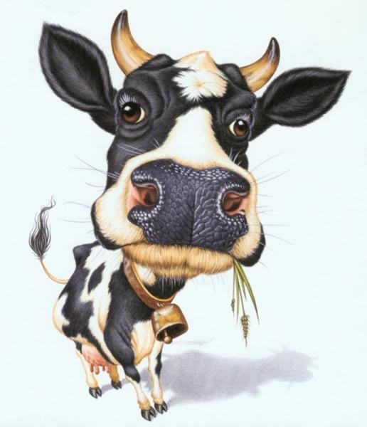 Logo for FatCow Express