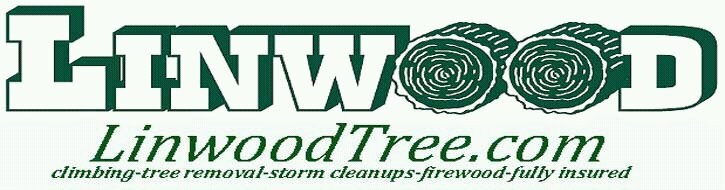 Logo for Linwood Tree