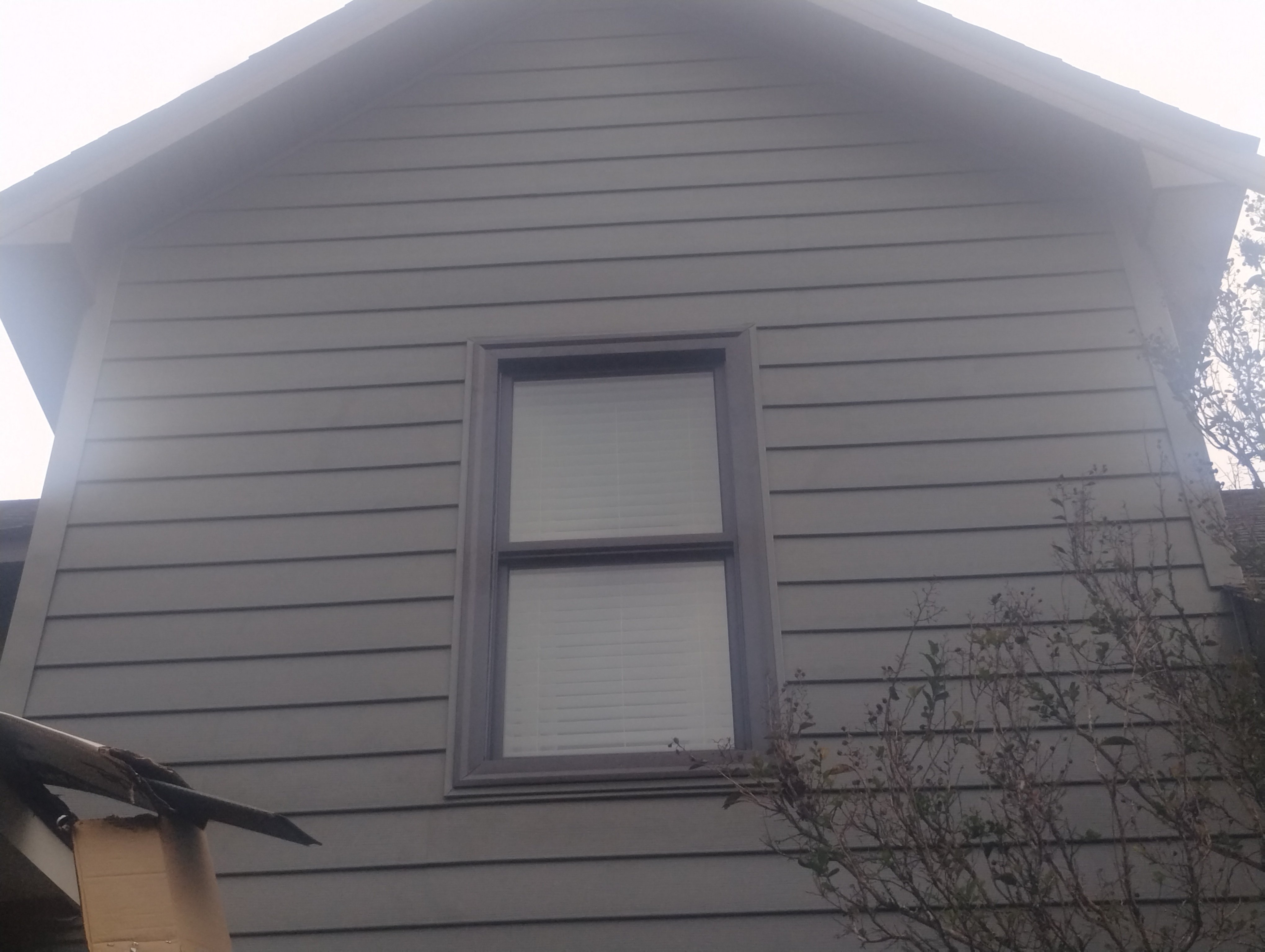 Avatar for Michael Black 