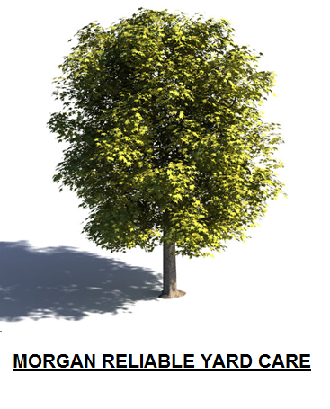 Avatar for Morgan Reliable Yard Care