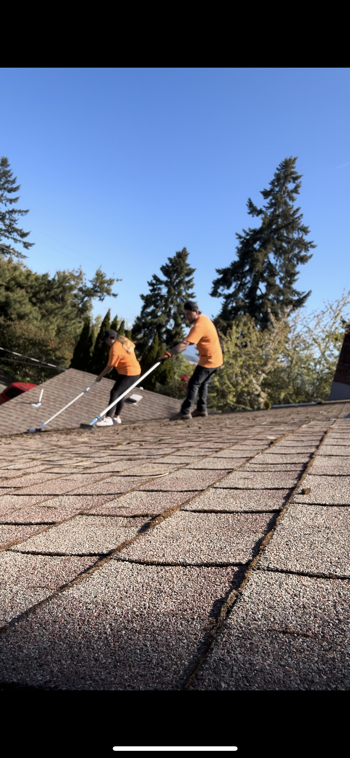 Avatar for Elite Maintenance