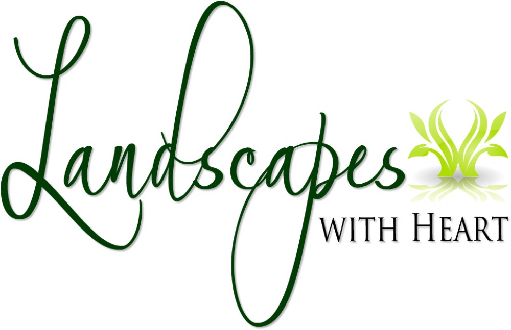 Avatar for Landscapes with Heart