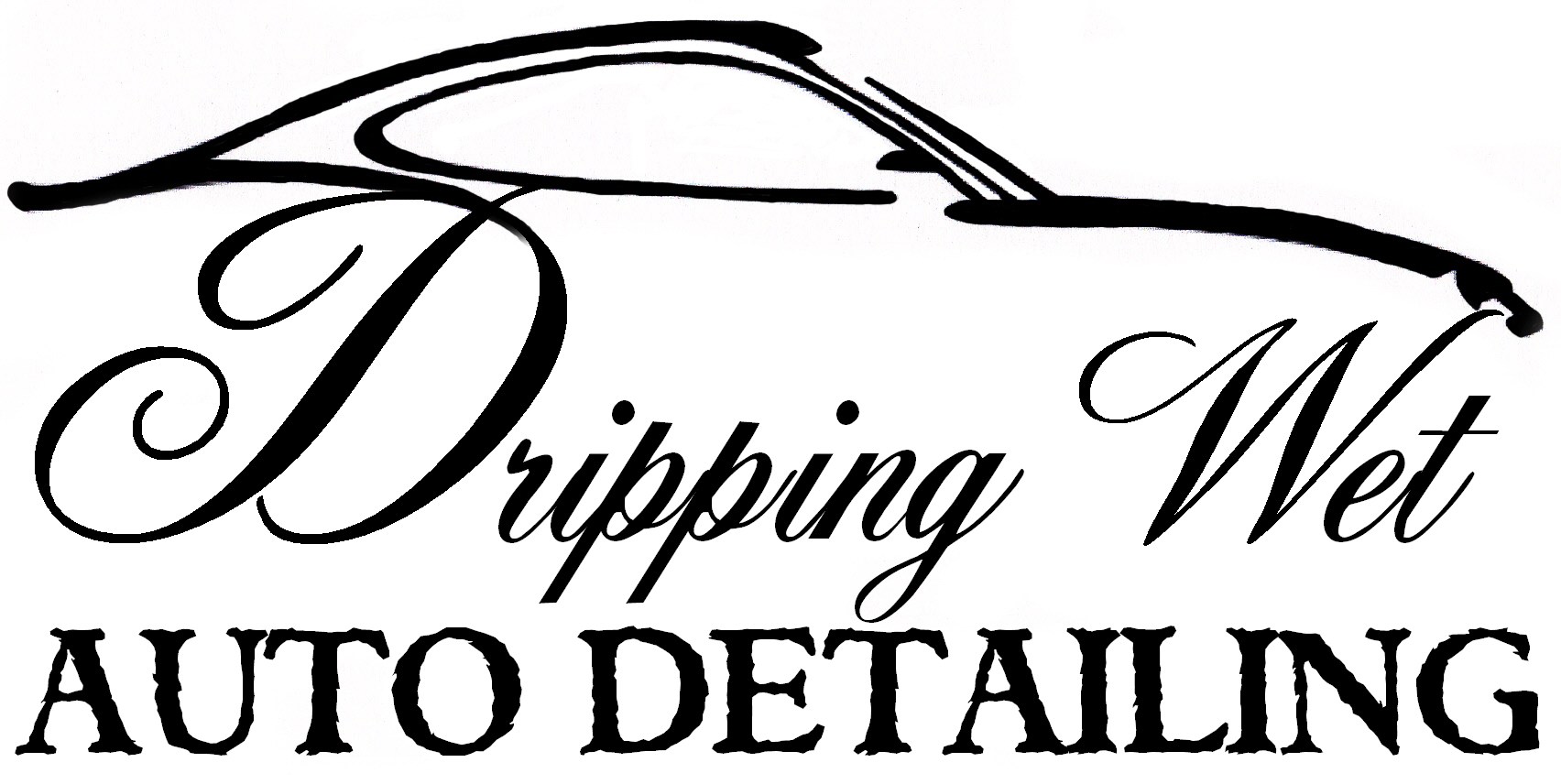 Dripping Wet Professional Detailing logo