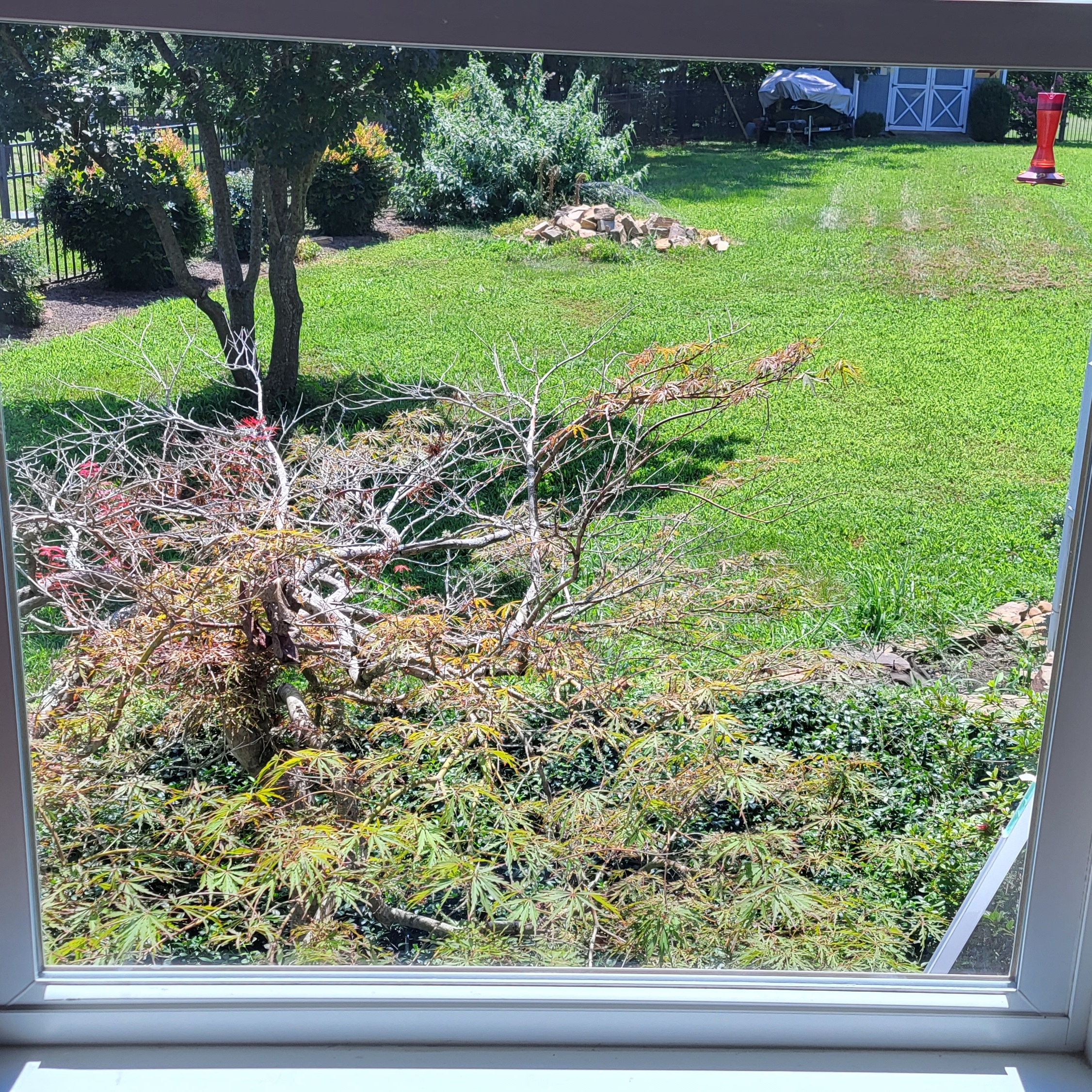 Avatar for Audie's Window Washing