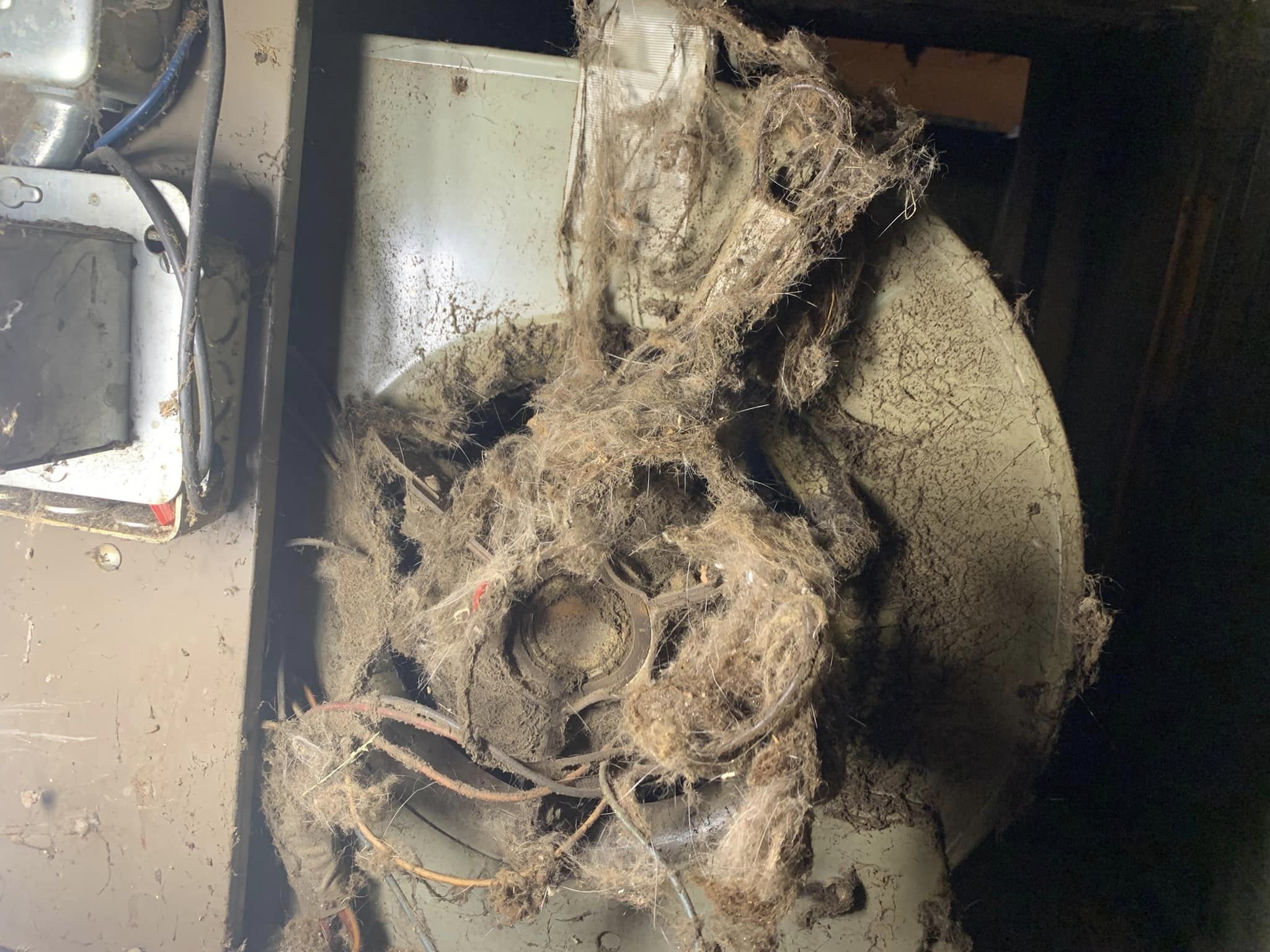 Avatar for Better Choice Heating & Air Conditioning