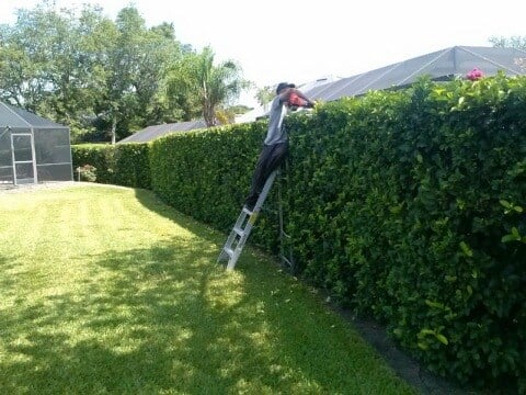 Avatar for Duval Lawn Services LLC