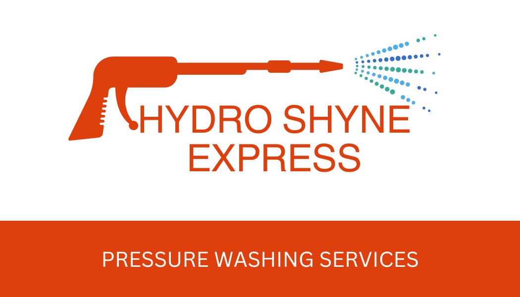 Hydro Shyne Express , LLC logo