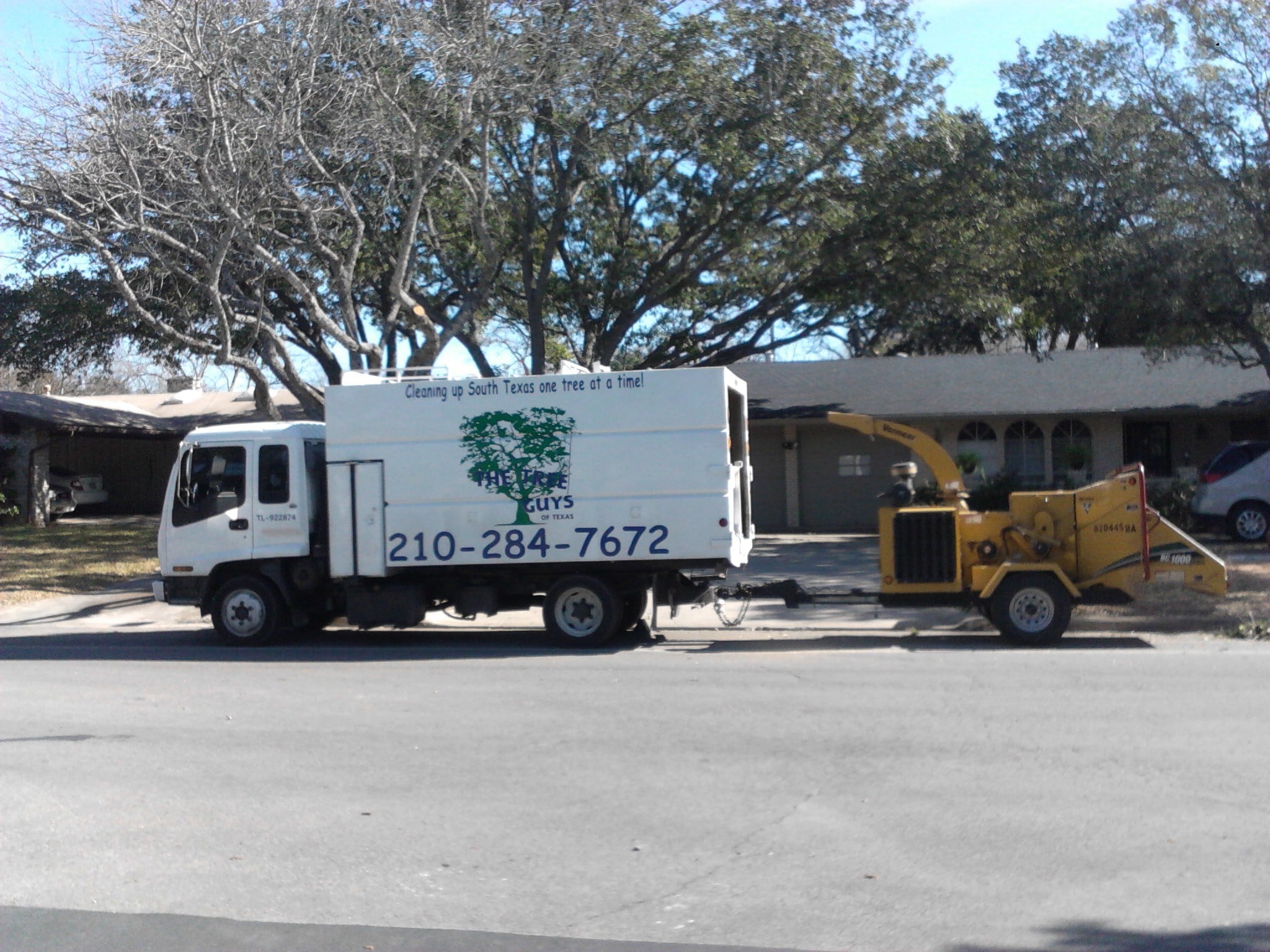 Avatar for The Tree Guys of Texas