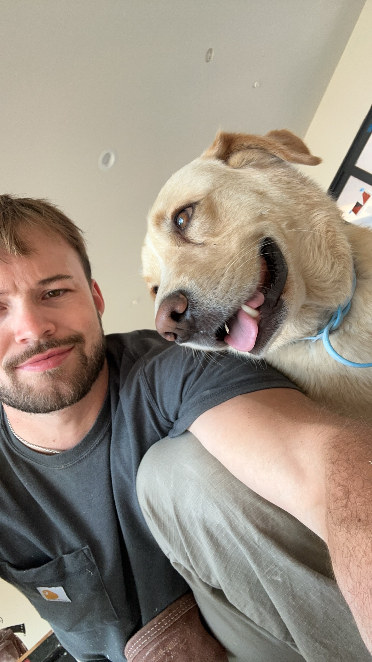 Avatar for Chuteboss Construction