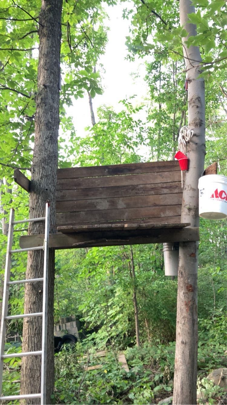 Avatar for Lawn & yard care