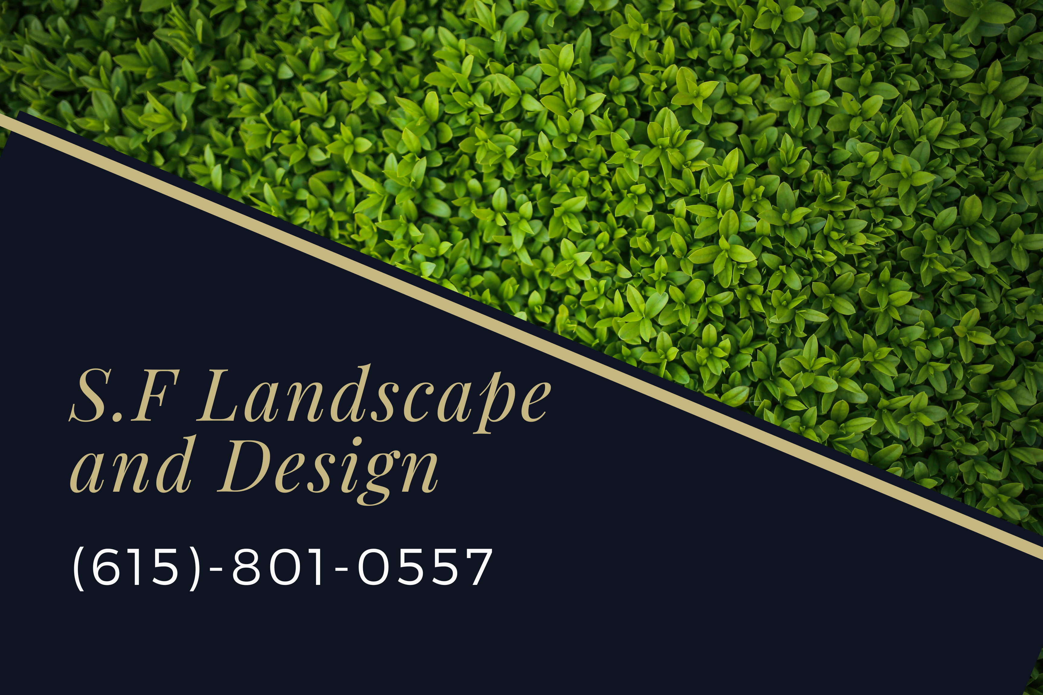 Avatar for S.F. Landscape and Design