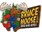 Logo for BruceMoose.com