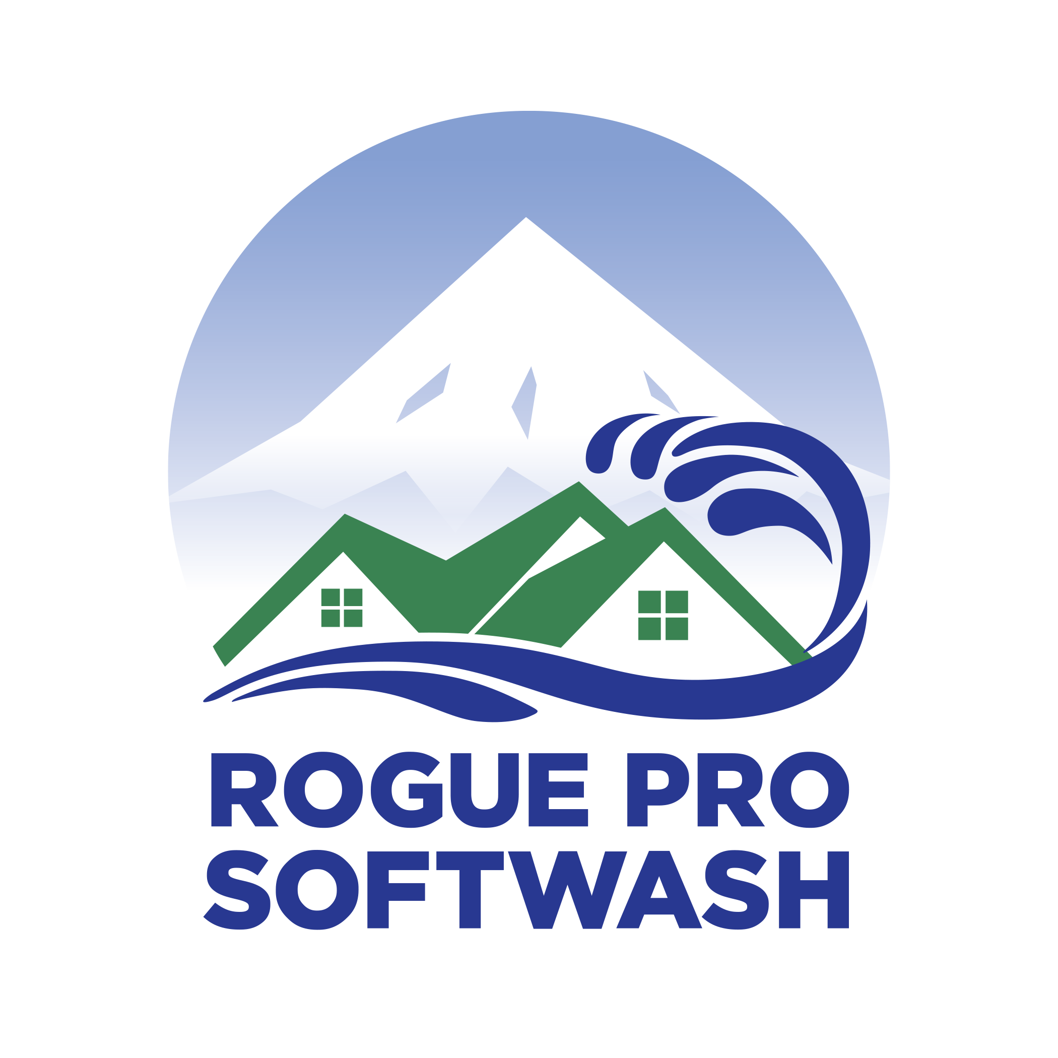 Avatar for Rogue Pro Softwash