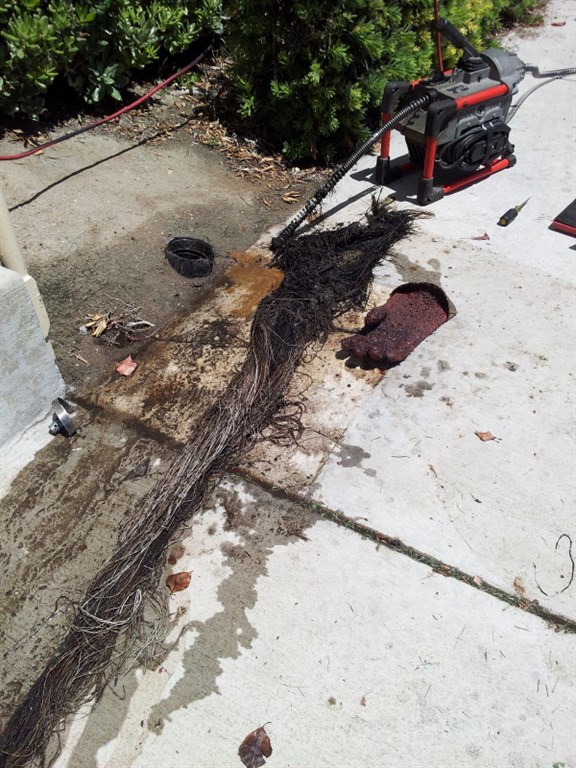 From Sinks to Sewers Reviews Ventura, CA Angi