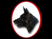 Avatar for First Friend K-9 Training