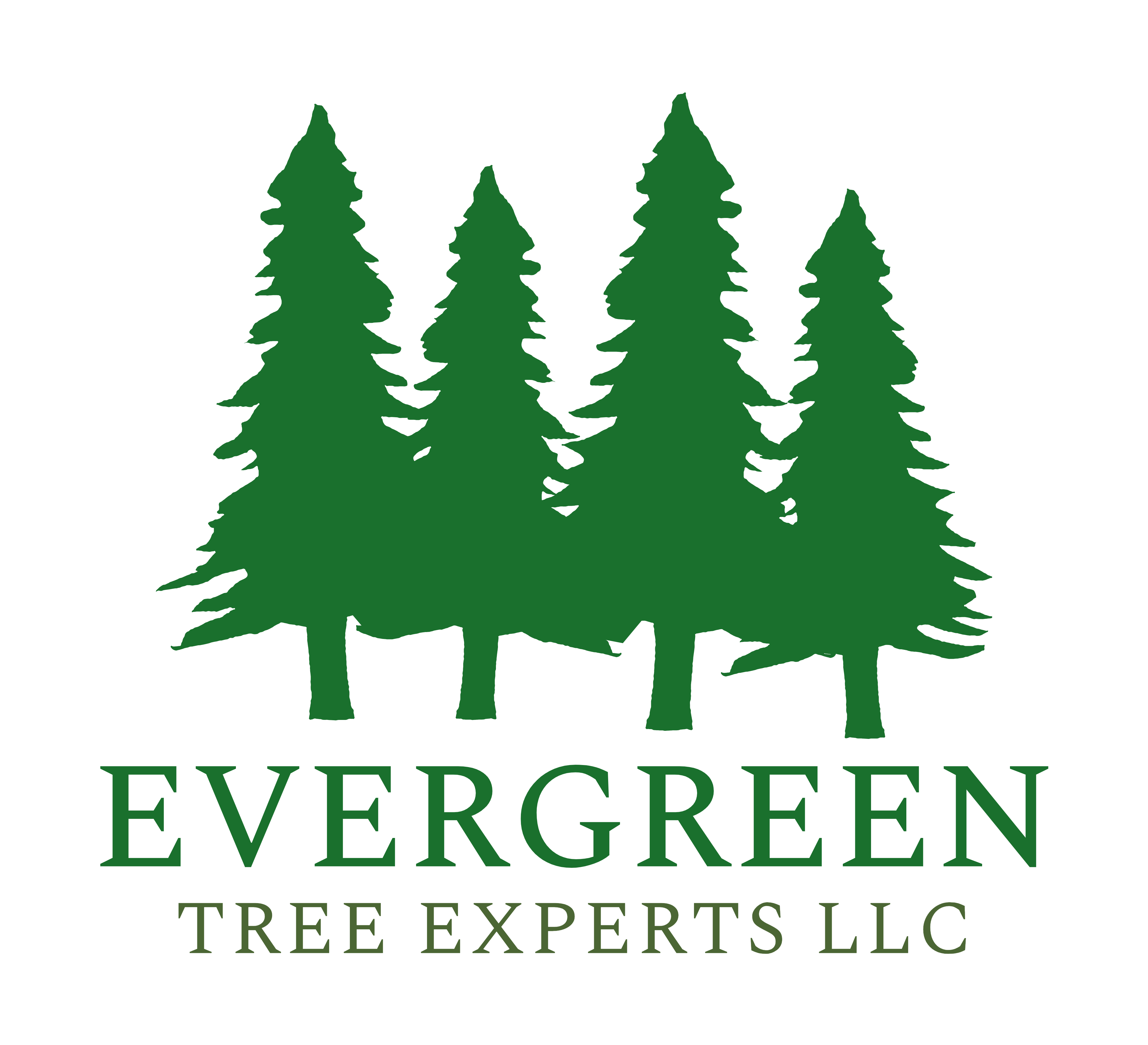Avatar for Evergreen Tree Experts LLC