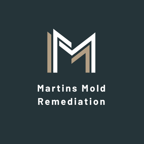 Avatar for Martin's Mold Remediation