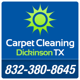 Sunbird Cleaning Services logo