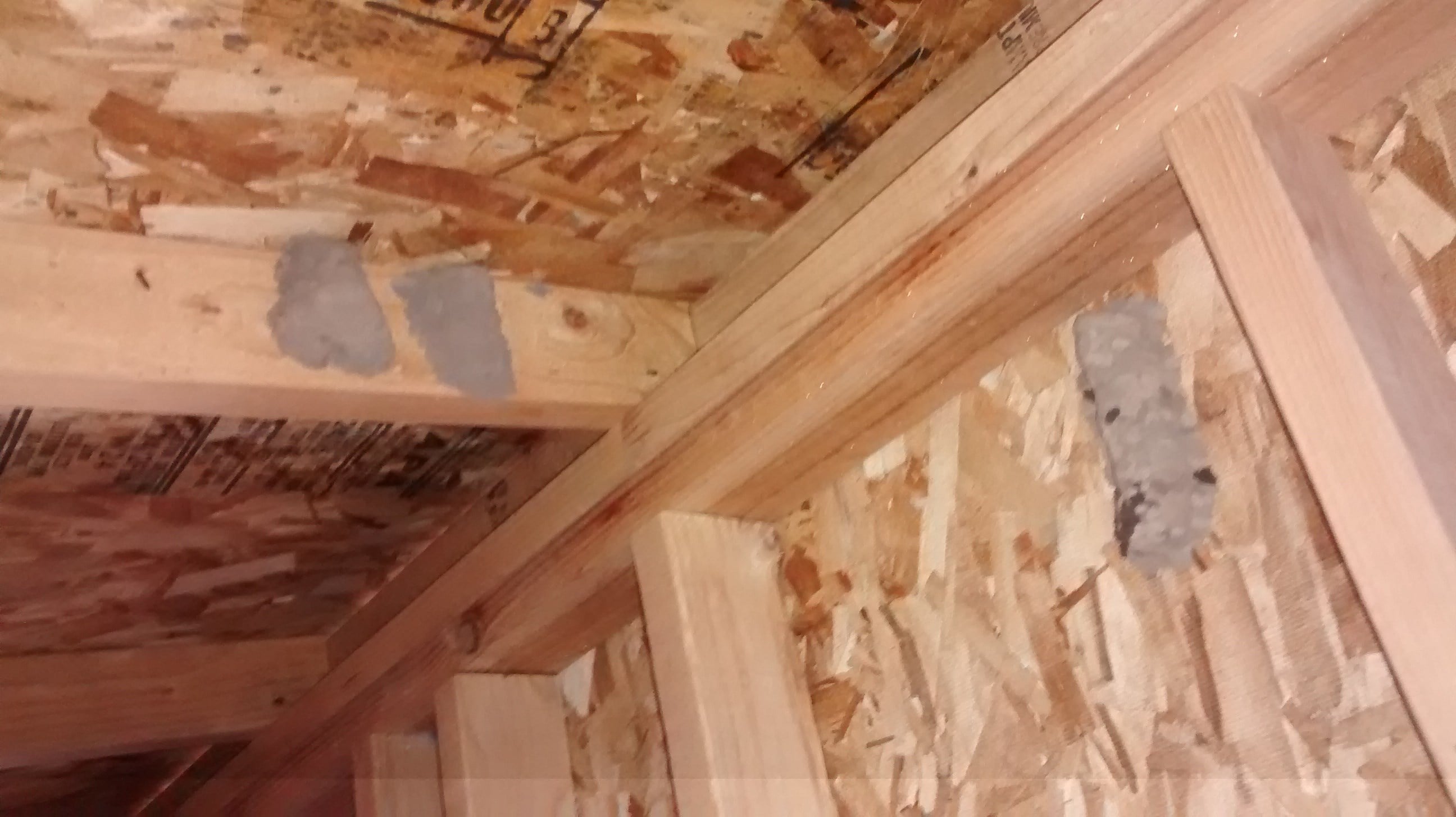 Avatar for Squish Pest Control