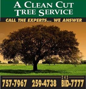 Clean Cut Tree Service & Stump Grinding, Inc Palm logo
