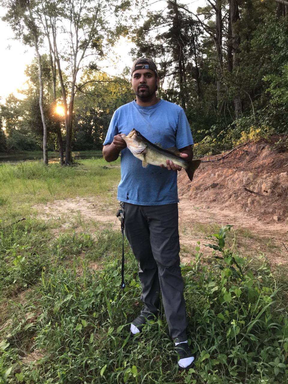 Avatar for Hunts Handyman Services 