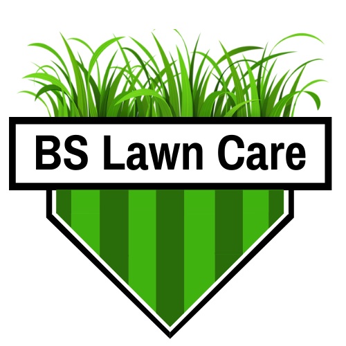 Avatar for BS Lawn Care
