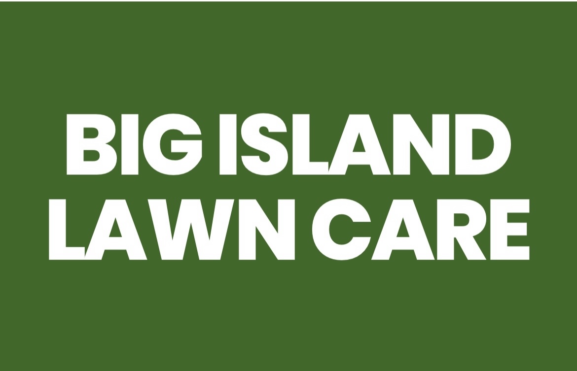 Avatar for Big Island Lawn Care 