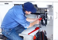 Terry Nelson Plumbing Inc. logo